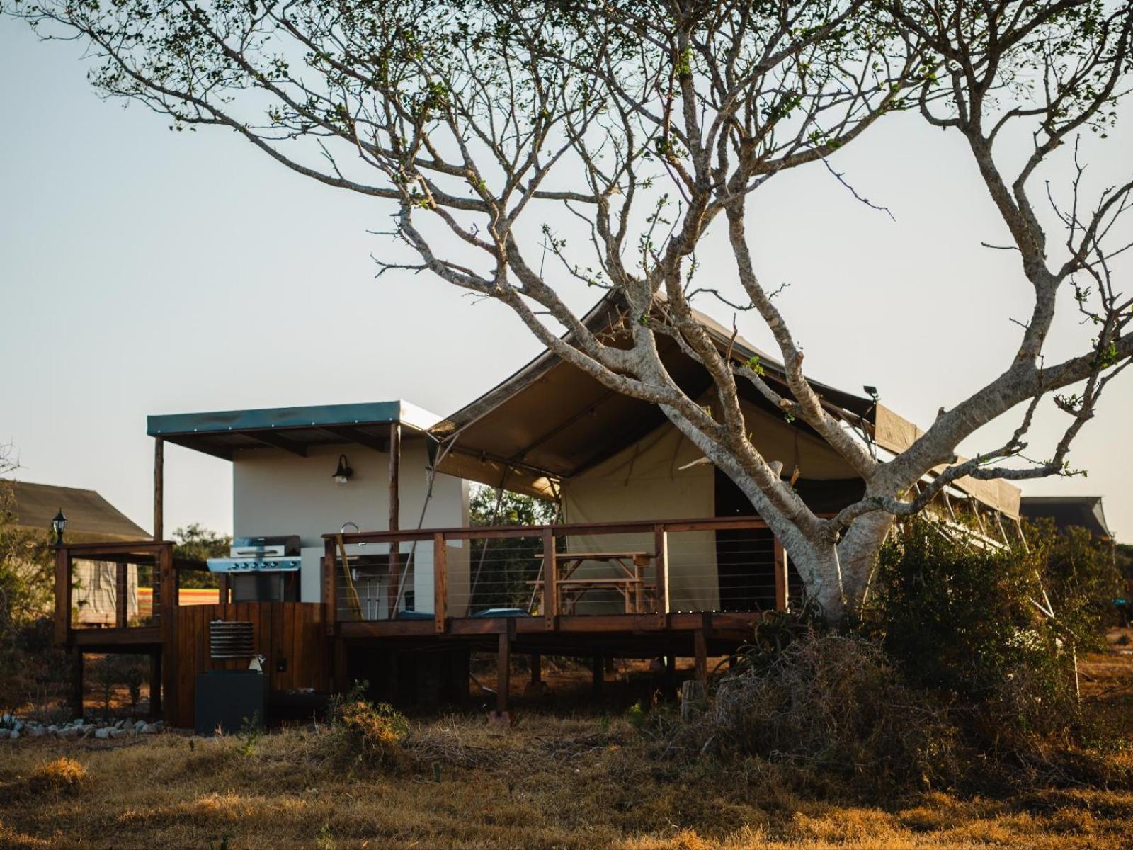 Longhill Reserve Addo Luaran gambar