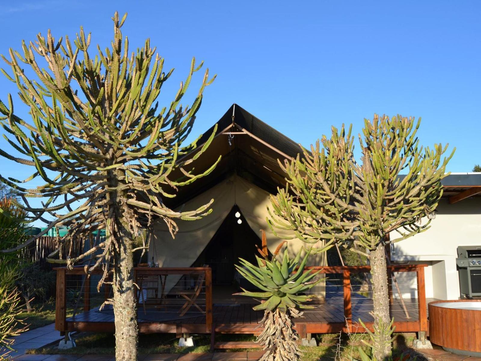 Longhill Reserve Addo Luaran gambar
